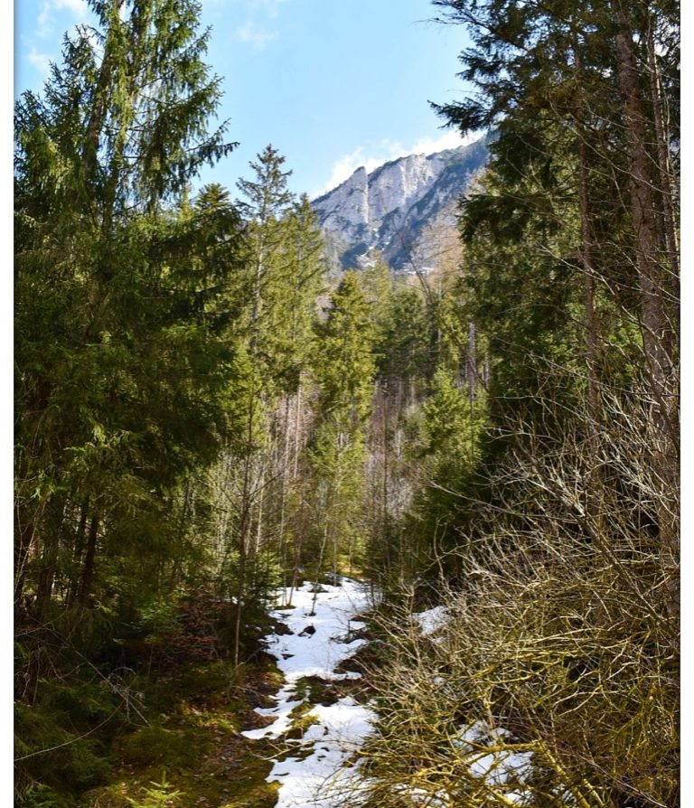 grenzenloserausblick